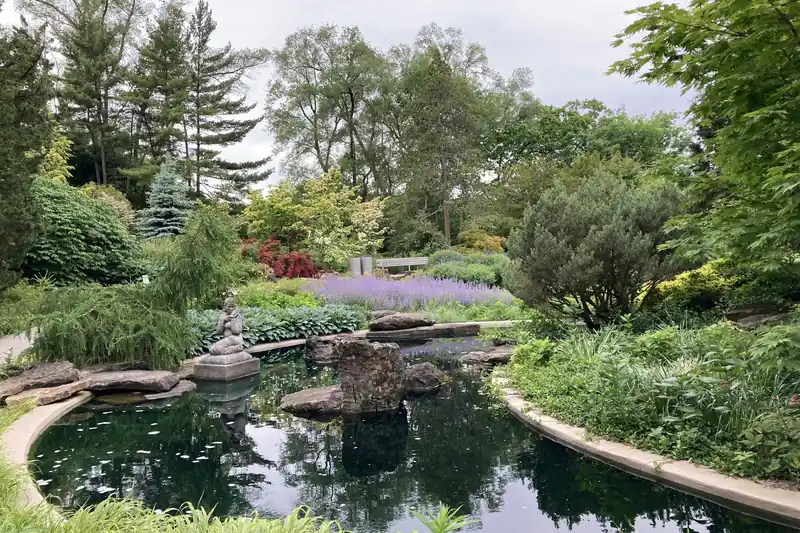 Landscaped garden pond with rock edging and mature planting
