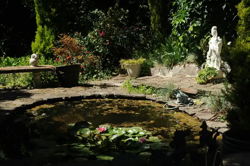 Small stone-edged garden pond with water lilies and a statue