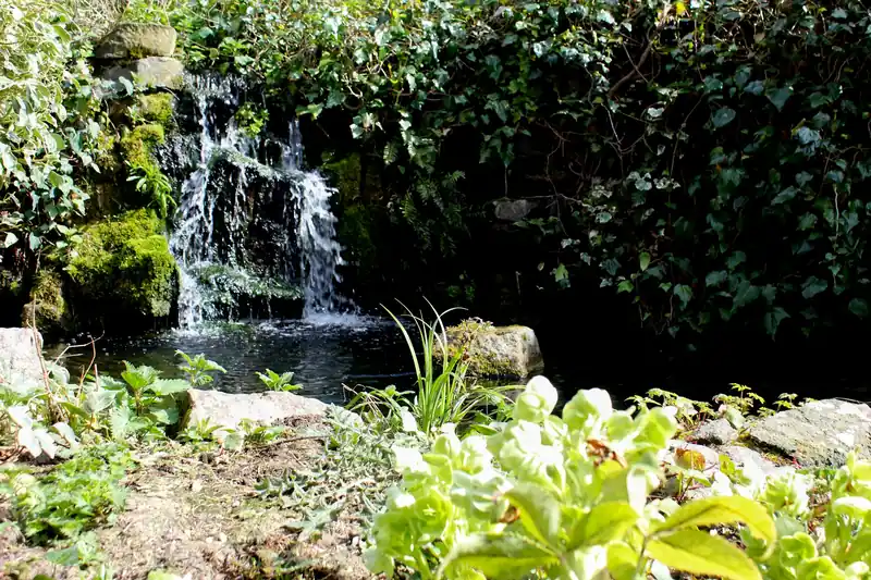Small waterfall cascading over rocks into a planted pond