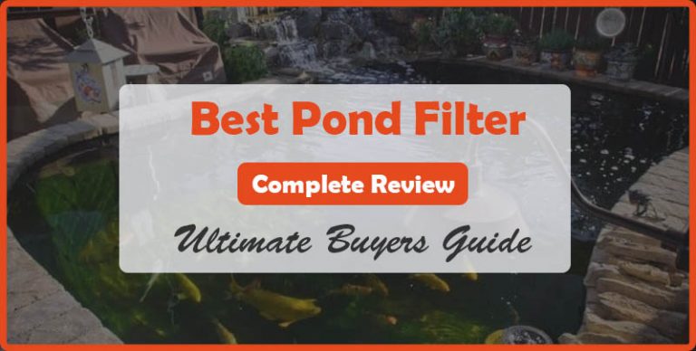 Top Rated 4 Best Pond Filter (Ultimate Buyer’s Guide)