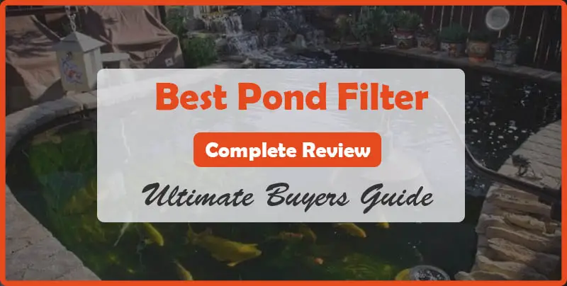 Best Pond Filter