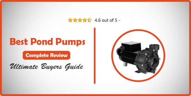 Top Rated 4 Best Pond Pumps (Complete Review)