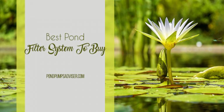 Best Pond Filters System Reviews