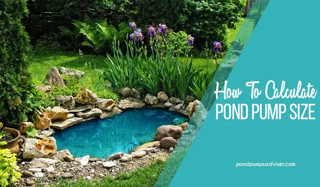 How to calculate pond pump size