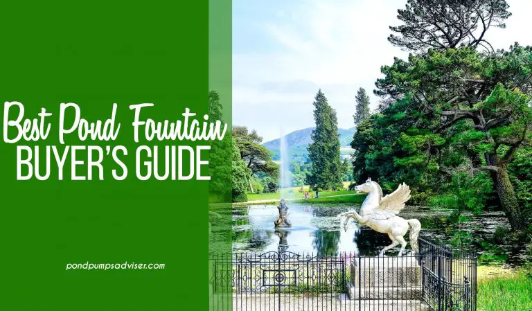 Best Pond Fountain Buyer’s Guide