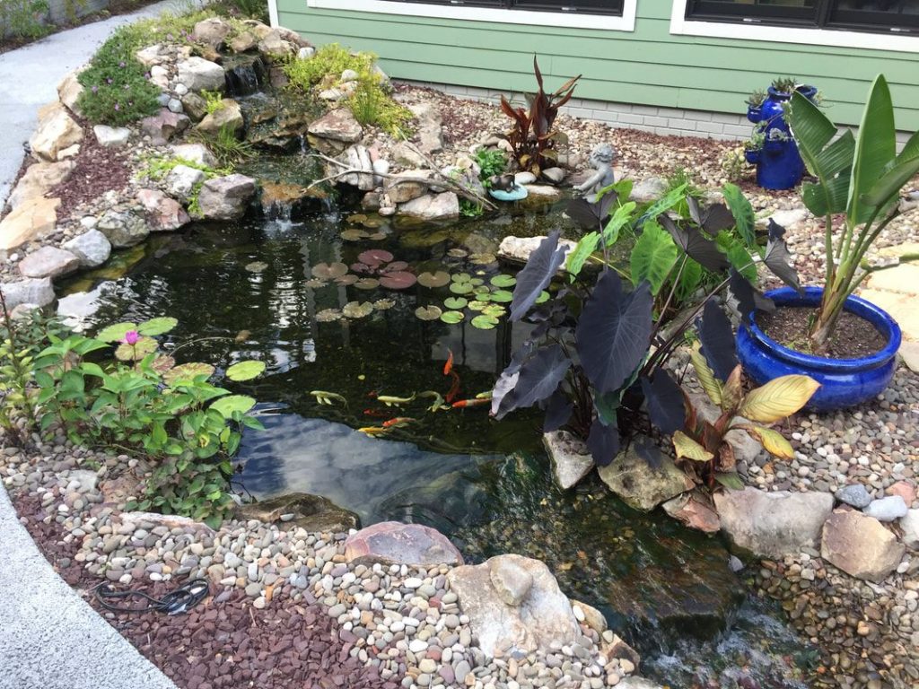 Pet Aquatic Turtles and Outdoor Ponds Pond Pumps