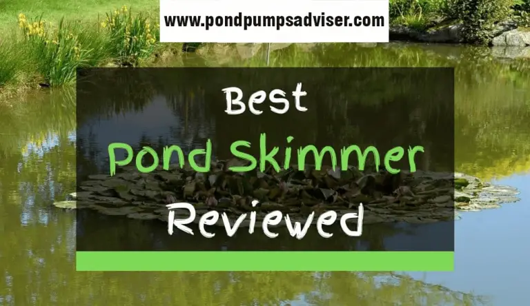 Top 7 Best Pond Skimmer Reviews