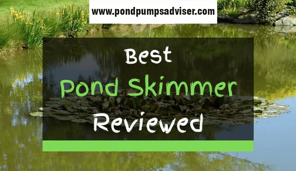 Best pond skimmer for your pond outlet in 2021