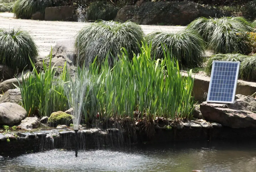 Solar Pond Pump: An Eco-Friendly Solution for Clear Water in USA Ponds