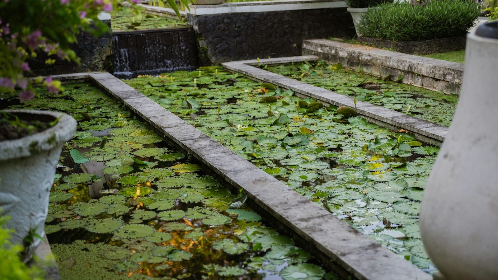 Formal garden lily pond with a stone walkway and flowing water
