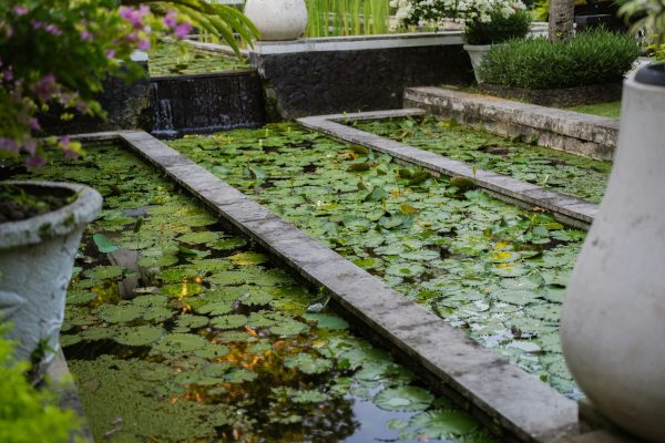 Formal garden lily pond with a stone walkway and flowing water