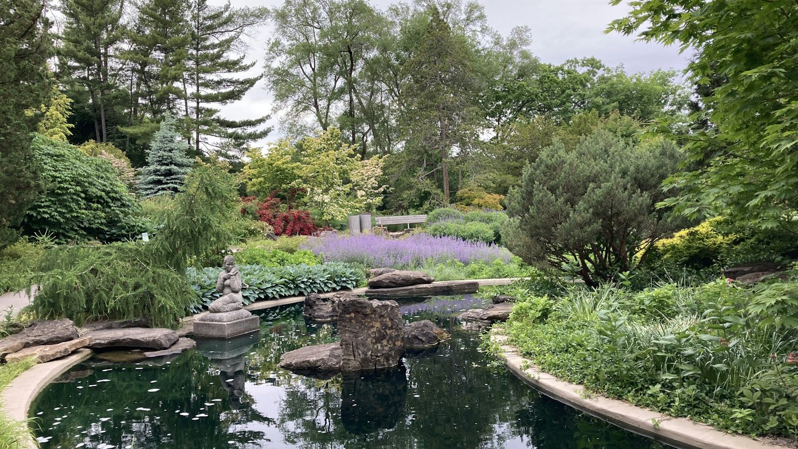 Landscaped garden pond with rock edging and mature planting
