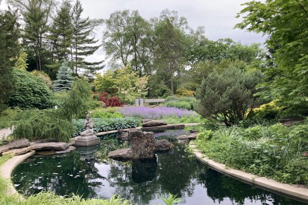 Landscaped garden pond with rock edging and mature planting