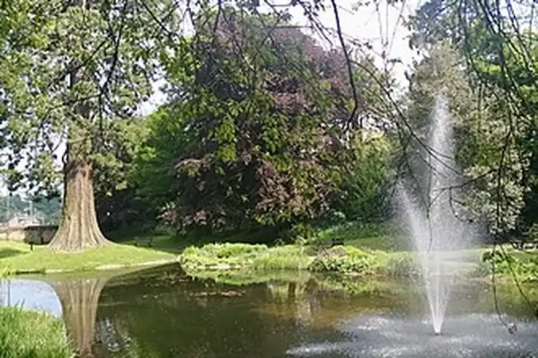Fountain spraying water in the middle of a tree-lined pond