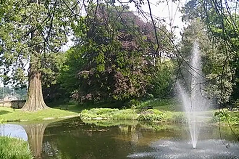 Fountain spraying water in the middle of a tree-lined pond