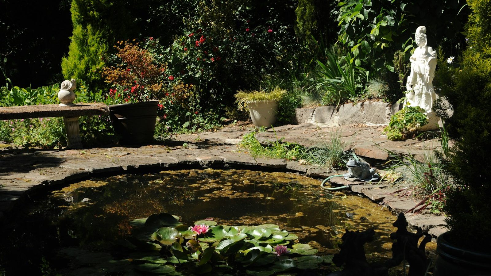 Small stone-edged garden pond with water lilies and a statue