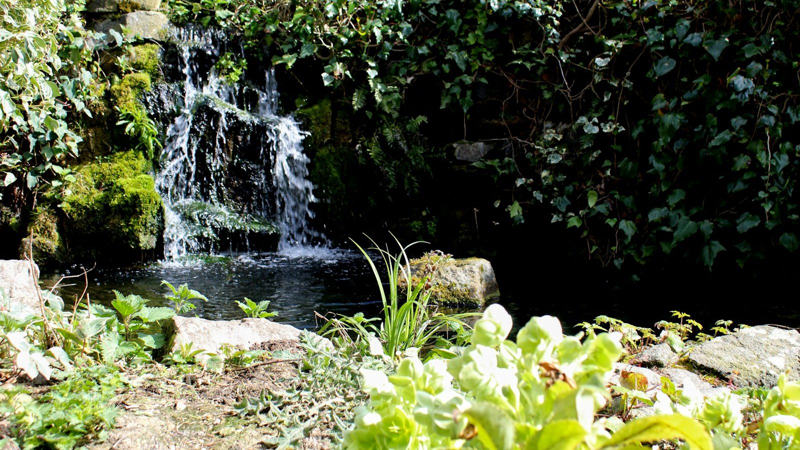 Small waterfall cascading over rocks into a planted pond
