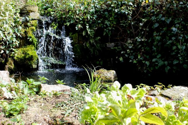 Small waterfall cascading over rocks into a planted pond