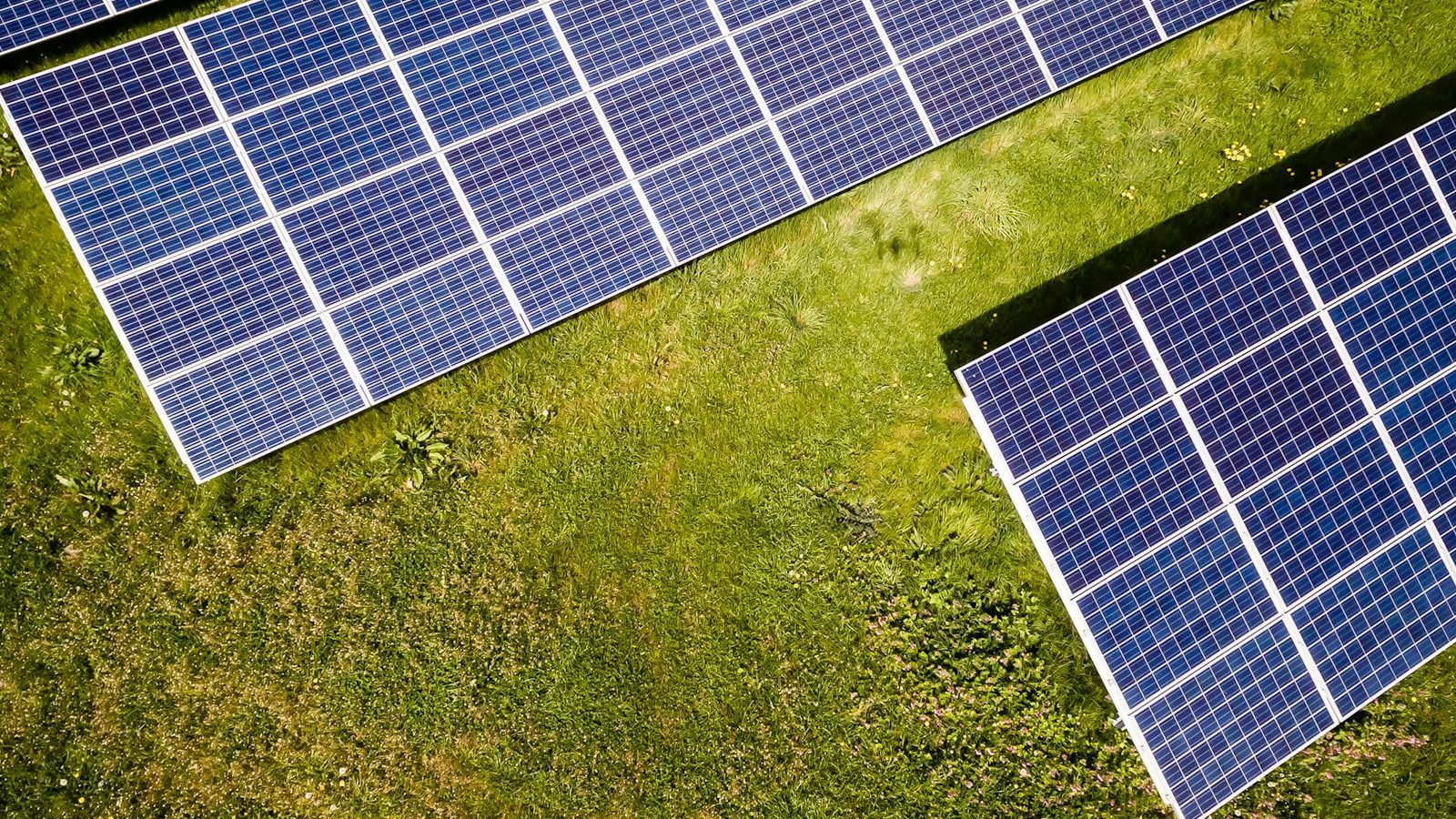 Solar panels mounted on grass in sunlight